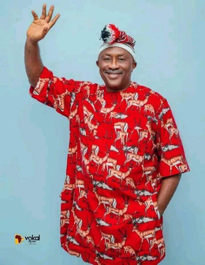 Owerri Senate: Rebuild IMO Movement To Adopt Onyeagucha As Consensus Candidate